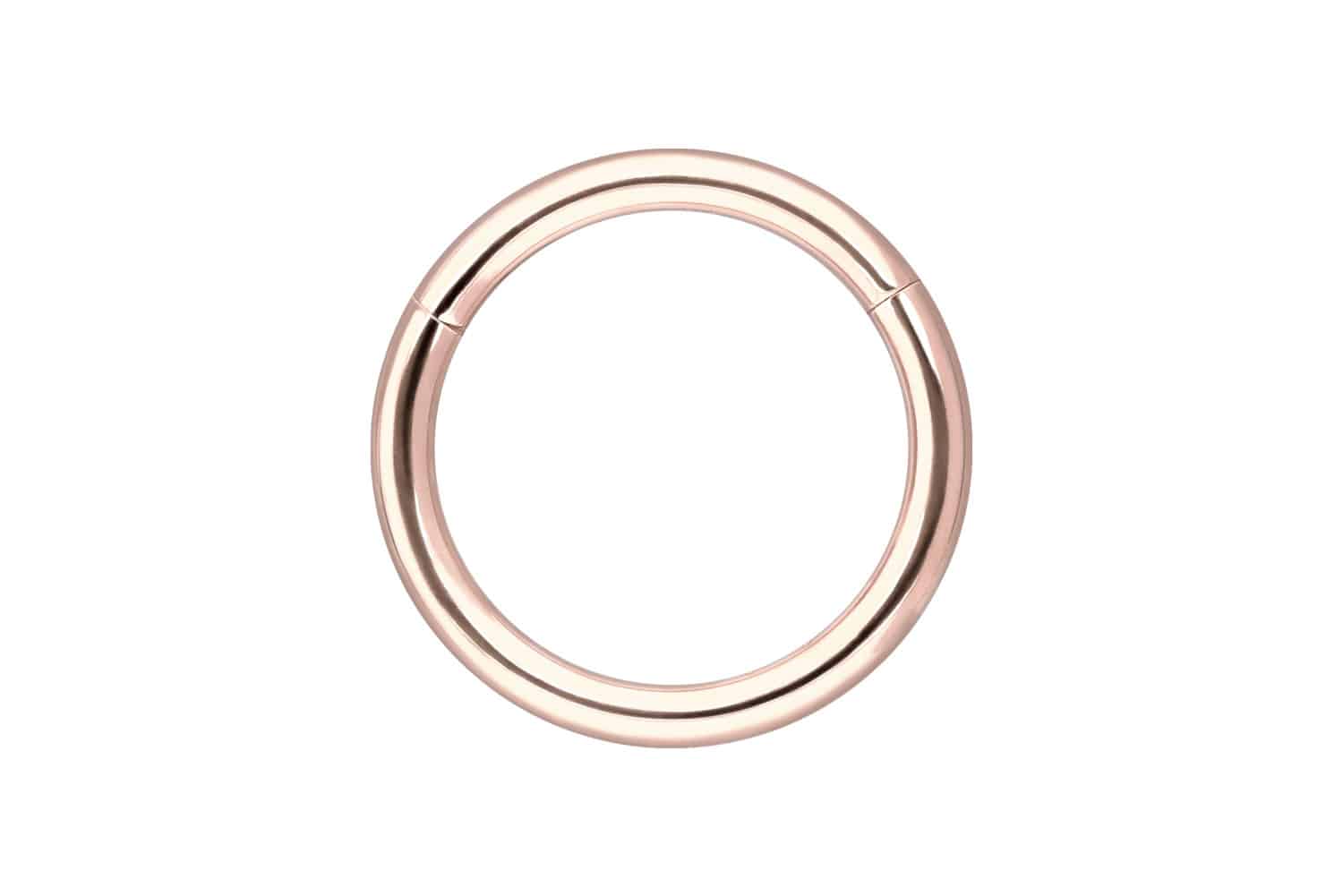 14/18 Karat Gold Segmentring Clicker Piercing